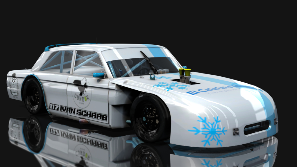 Car Skin